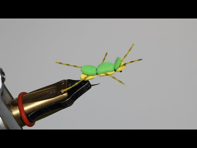 Lot de 5 leurres de pêche en sauterelle, appâts artificiels réalistes avec boîte