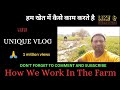 Unique vlogs🙏 How We Work In The Farm 👍हम कैसे खेत में काम #farmer #farming 🆗 #shorts #kheti #khet 🙋