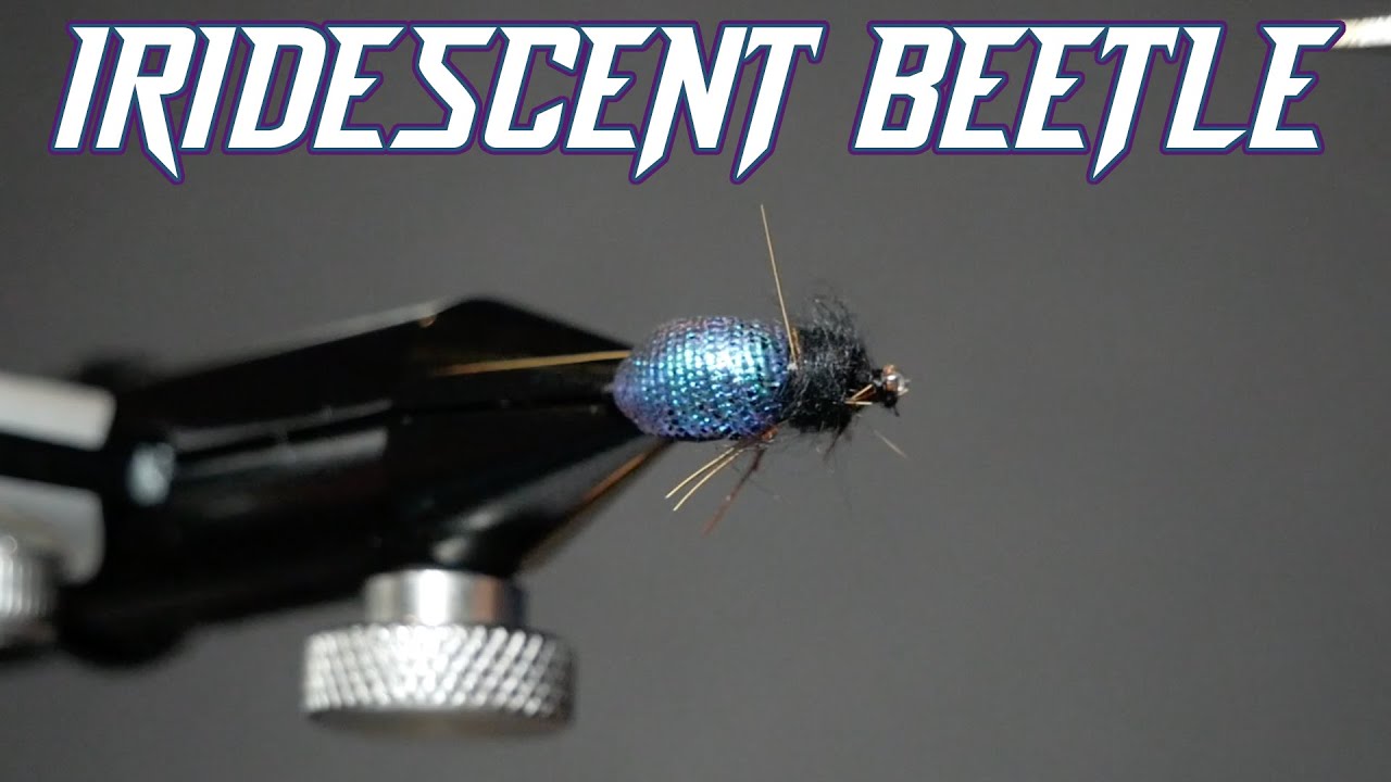 Iridescent Beetle Fly Tying YouTube