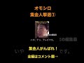 【爆笑】面白い集金人撃退方法