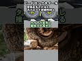 ビードロックホイールとは?オフロード競技用のガチなホイール
