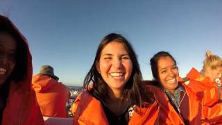 IHP Abroad Spring 2015