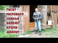 Разросшееся хозяйство подкидывает проблему за проблемой!..