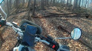 TW200 vs. THE WOODS