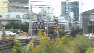 2025.11.18 阪急 5300系5308F 準急大阪梅田行き通過 摂津市駅~正雀駅間 正音寺踏切 阪急電鉄 阪急電車