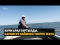 Кичи Арал тартылды. Кароосуз кайыкка толгон жээк