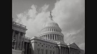 News Item (0b2b2abd-8c67-c1f3-b382-2124553b2217)