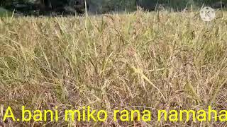 A.bani MIKO rana namaha