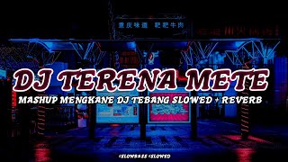 DJ TERENA METE MASHUP SLOWED   REVERB DJ TEBANG VIRAL TIKTOK TERBARU