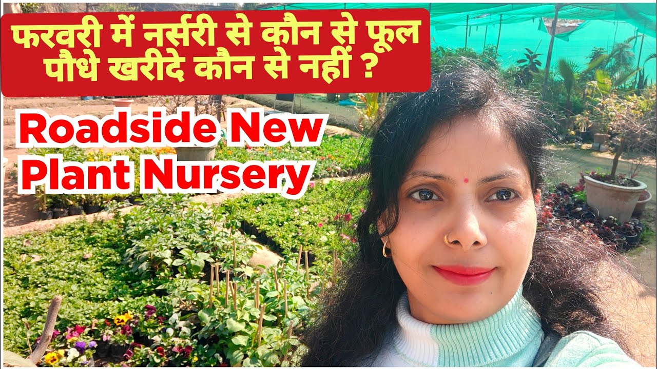 फरवरी में नर्सरी से कौन कौन से फूल पौधे खरीदे February plant nursery visit / Roadside Plant Nursery 