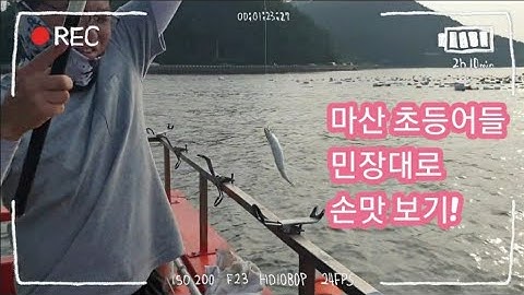 경남 마산 고등어 시즌시작