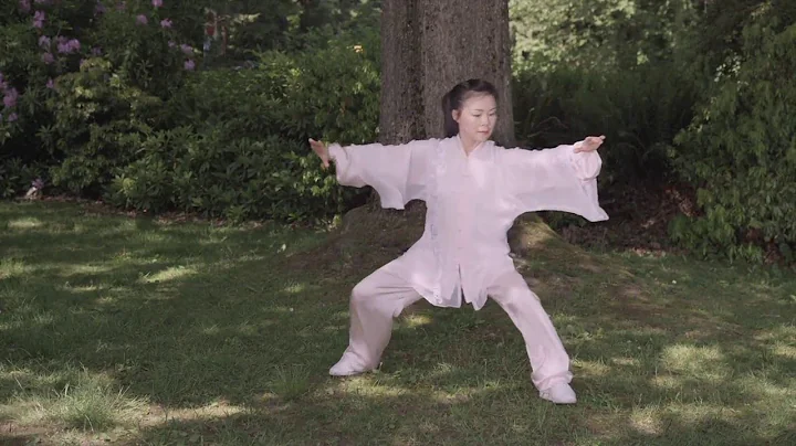 Simplified Tai Chi 48 Form by Helen Liang (YMAA)
