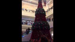 Salsa + Christmas tree = Joy