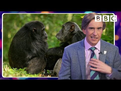 alan-partridge's-tragically-hilarious-animal-impressions---bbc