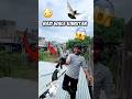 बाजी वाले दो कबूतर पकड़े 😱🕊️#petlover #pigeon #minivlog #kabutarbazi #kabutar #shortsfeed #shorts