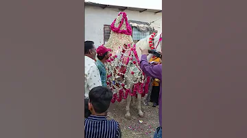 Dulhe Raja Sonavlogs 