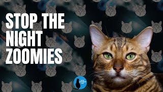 Stop the nighttime zoomies #cat #zoomies by Your Purrfect Cat 127 views 5 months ago 6 minutes, 39 seconds