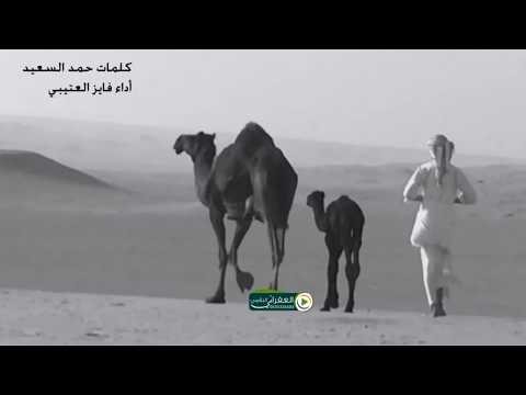 شيلة وجودي وجود اللي حداها الذراء والشبك