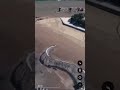 snake skeleton found on Google Earth , part 3#mapsecrets #creepy