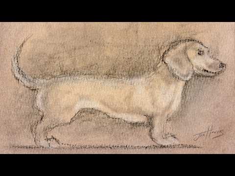 Drawing Sketch of a Dachshund Dog with a Charcoal Pencil on Pastel Background