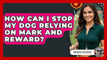 How Can I Stop My Dog Relying On Mark And Reward? - Obedient Dog Guide