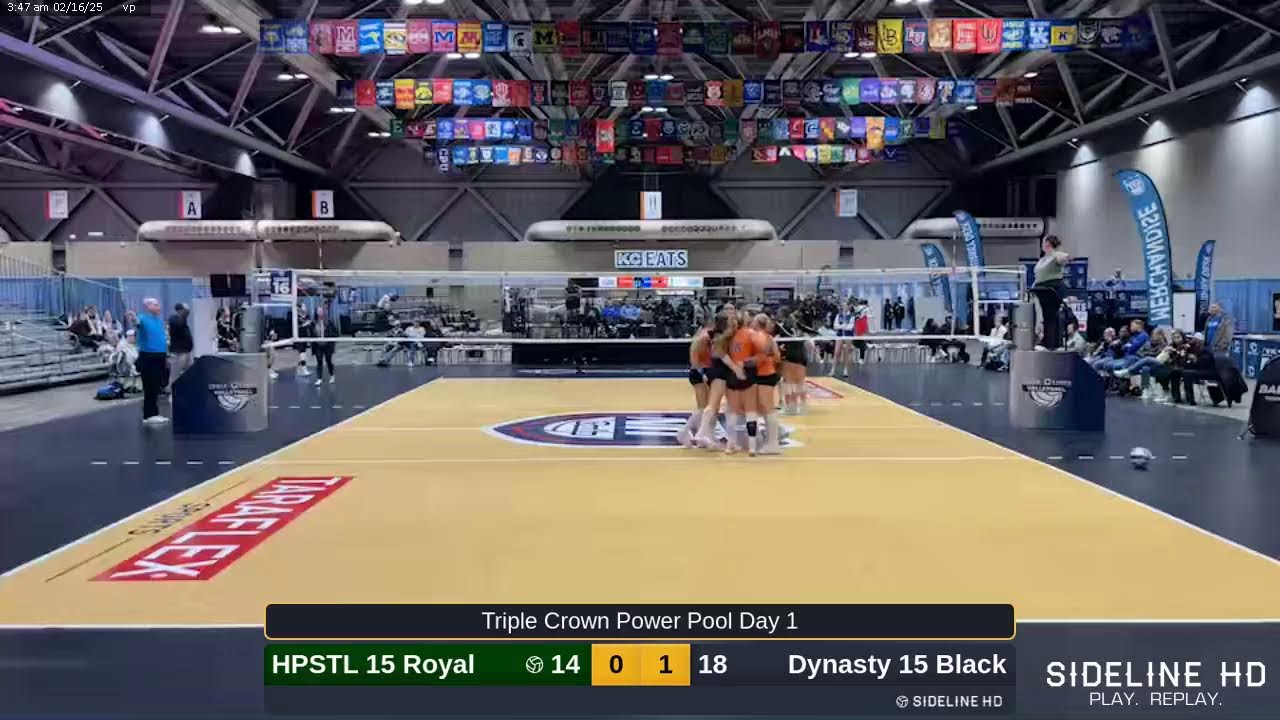 Spin Dynasty casino
