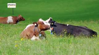 Thema: Zukunft der Landwirtschaft