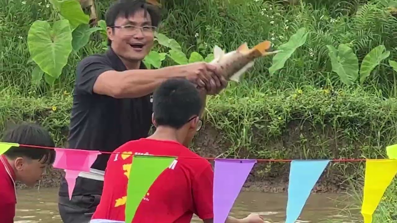 Hội đùa nơm, bắt vịt AT (Ps: 01/9/2025)