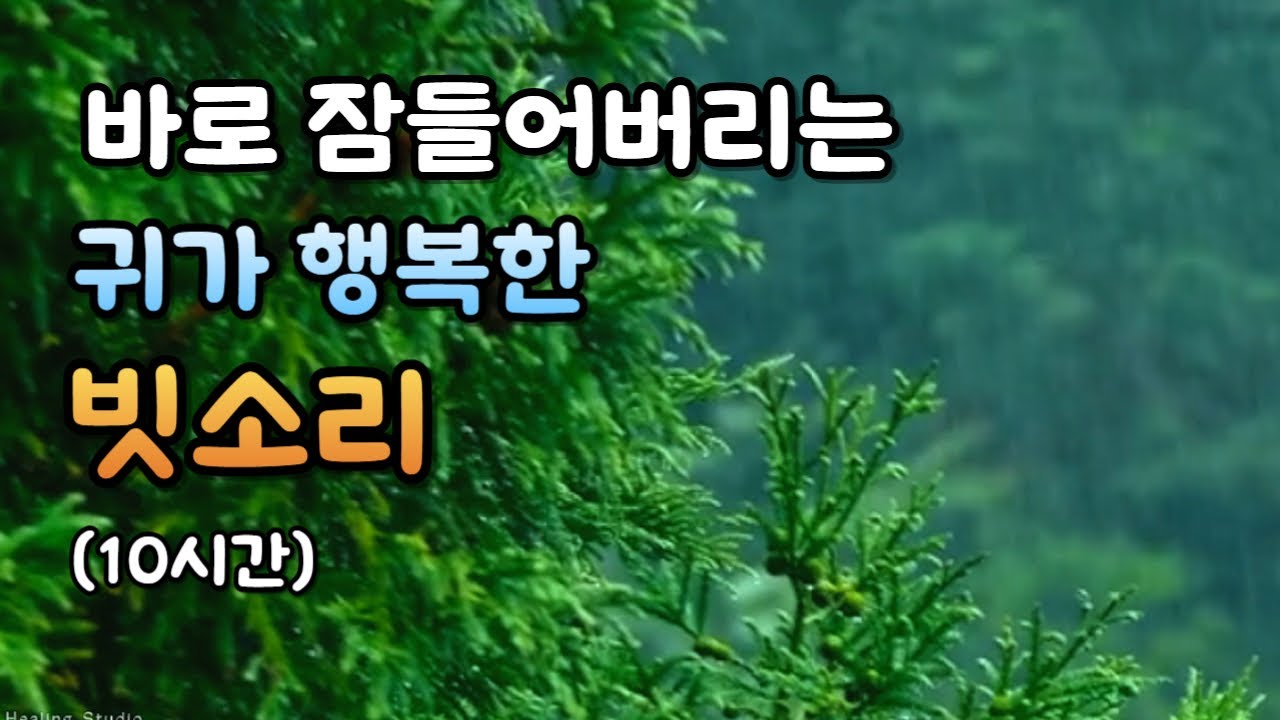 소나무 빗소리 그리고 잠드는 소리ㅣ10분 후 어두운 화면ㅣ집중, 공부, whitenoise