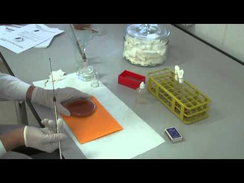 Video: Rozdiel Medzi Baktericídnymi A Bakteriostatickými Látkami