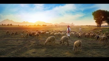 1 HOUR Counting Sheep to Sleep Meditation | Sleep | Study | Insomnia | Focus | Peaceful Vibes