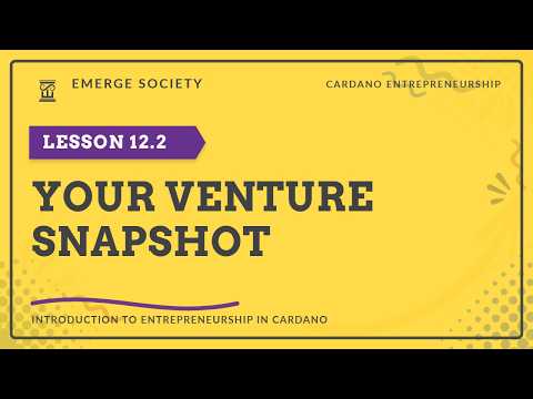 How to Build a Venture Snapshot for Your Startup | Emerge Society 12.2