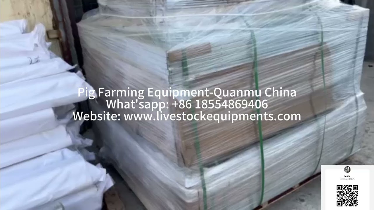 Pig farming equipment---pig automatic feeding line, pig cage