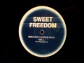 Uk garage  redhanded vs evoloving dance  sweet freedom