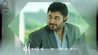 top villain BGM ||Aravind Swamy ||dhruva || ram charan ||Rowdyz BGM