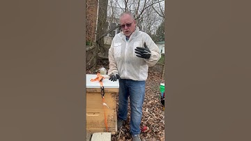 Walk Away Split #beekeepingwithdave #beekeeping #beekeeper