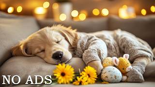 Dog Sleep Music for Anxious Puppies 🐶 12 Hours of Soft Calming Bedtime Sounds🌙 Peaceful Night No Ads screenshot 5