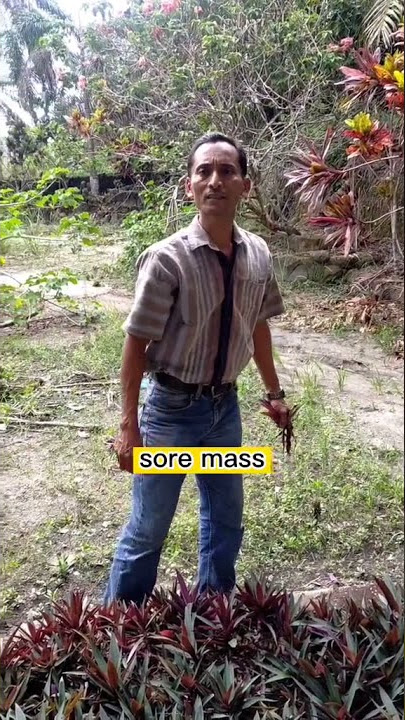 Pinter Bahasa Jawa 🤣 Teruskan | Salam ngapak