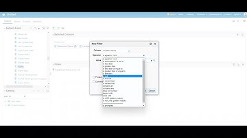 Part 12 - How to visualize through Column Selector View in OTBI - Oracle HCM Cloud