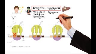 Pharmacology - ANTIBIOTICS - DNA, RNA, FOLIC ACID, PROTEIN SYNTHESIS INHIBITORS (MADE EASY)