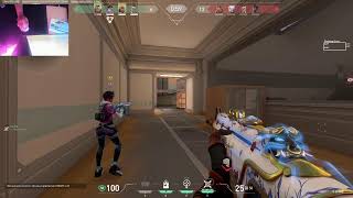 Steelseries Mousepad Testing