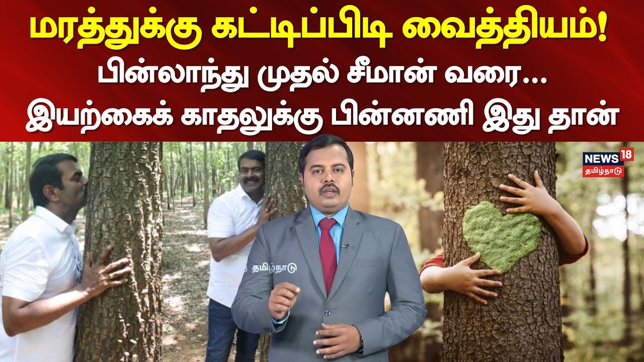 Benefits Of Hugging Trees | பின்லாந்து முதல் சீமான் வரை... இயற்கைக் ...