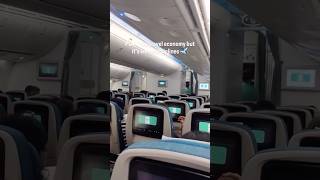 POV: Economy Flight But Feels Like Business Class 😍✈️
