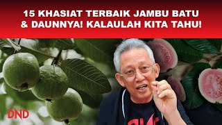 15 Khasiat Terbaik Jambu Batu & Daunnya! Kalaulah Kita Tahu!