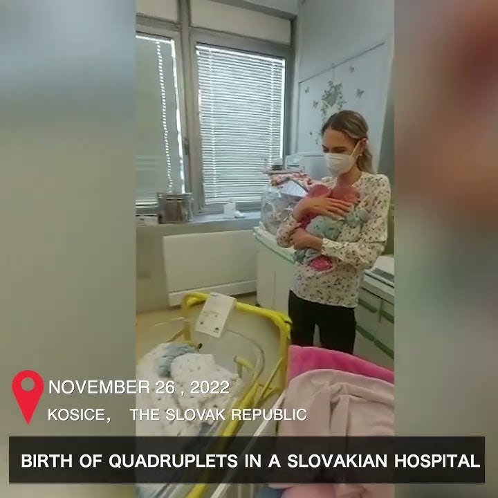 Rare quadruplets born in Slovakia #shorts