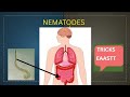 Nematodes in Helminthes | Easy Tricks + Diagram Explanation.Exam key points#helminth #nematodes