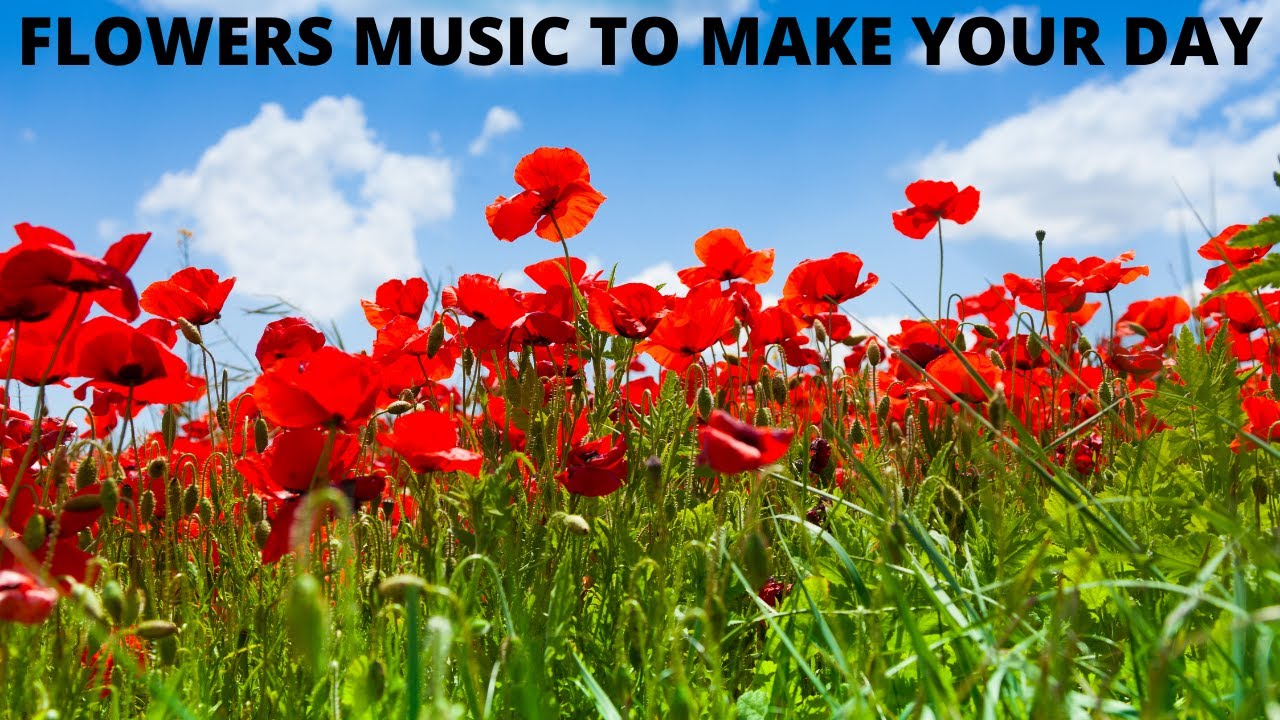 Flowers Music to MAKE YOUR DAY and a Music to Set Your Soul Free - YouTube