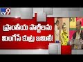 BJP is trying to vanish regional parties: Yanamala