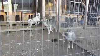 59A34165 1B06 4D79 8778 83E134CEEB82