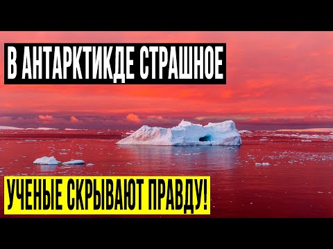 ЭКСПЕДИЦИИ ПОЛЯРНИКОВ УДАЛОСЬ ЗАСНЯТЬ НЕВЕРОЯТНОЕ!!! ФИЛЬМ ЗАПРЕЩЕН! 15.06.2020 ДОКУМЕНТАЛЬНЫЙ ФИЛЬМ